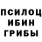 Галлюциногенные грибы Magic Shrooms DanP gooden