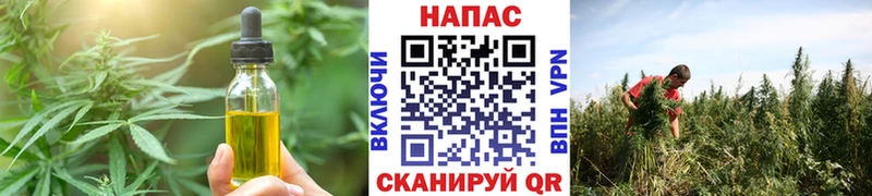 MEGA ссылки  Ржев  Canna-Cookies марихуана  купить наркоту 